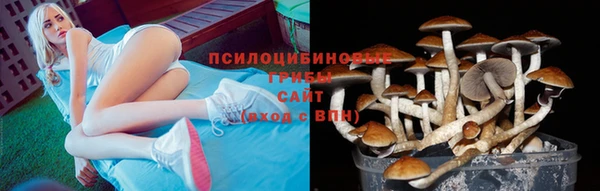 мяу мяу мука Алексин
