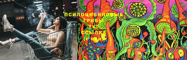 мяу мяу мука Алексин