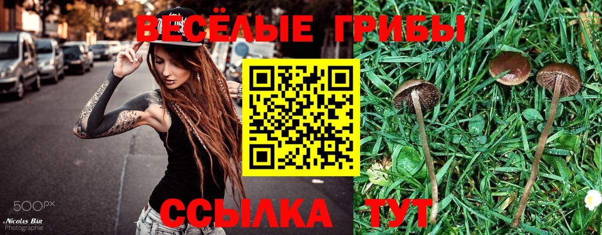 Псилоцибиновые грибы ЛСД Симферополь