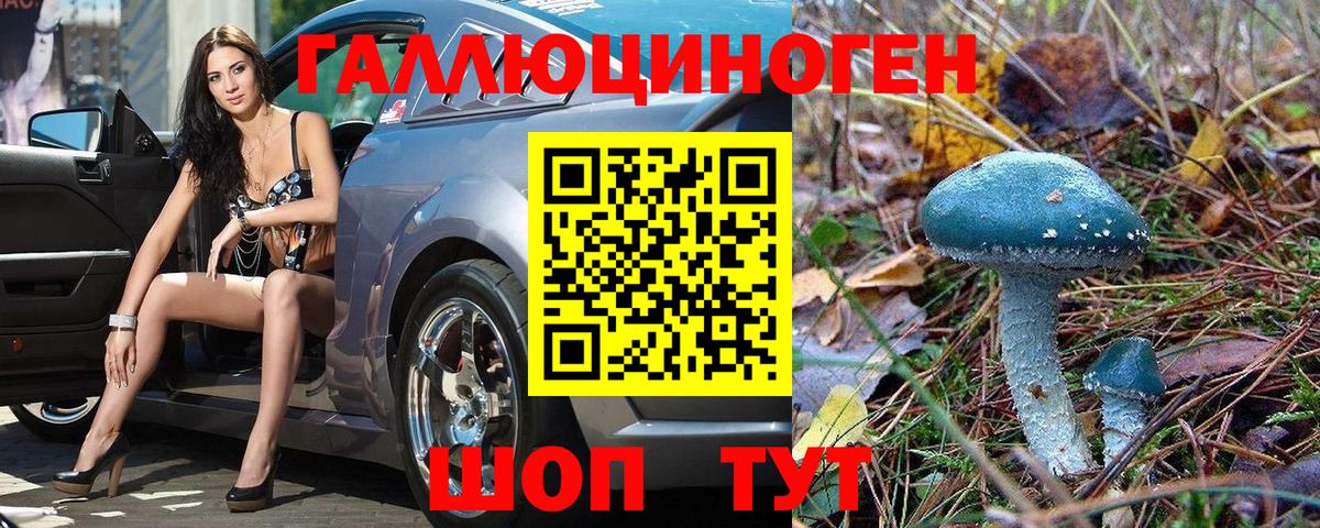Псилоцибиновые грибы ЛСД  Псилоцибиновые грибы MAGIC MUSHROOMS  Симферополь  Вход с VPN 